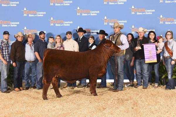 MBJ Fagan Maria Clara 004
Red Brangus National Champion Female
2017 Houston Livestock Show