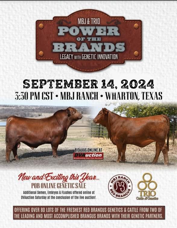 MBJ & TRIO “POWER OF THE BRANDS” 2024 SALE