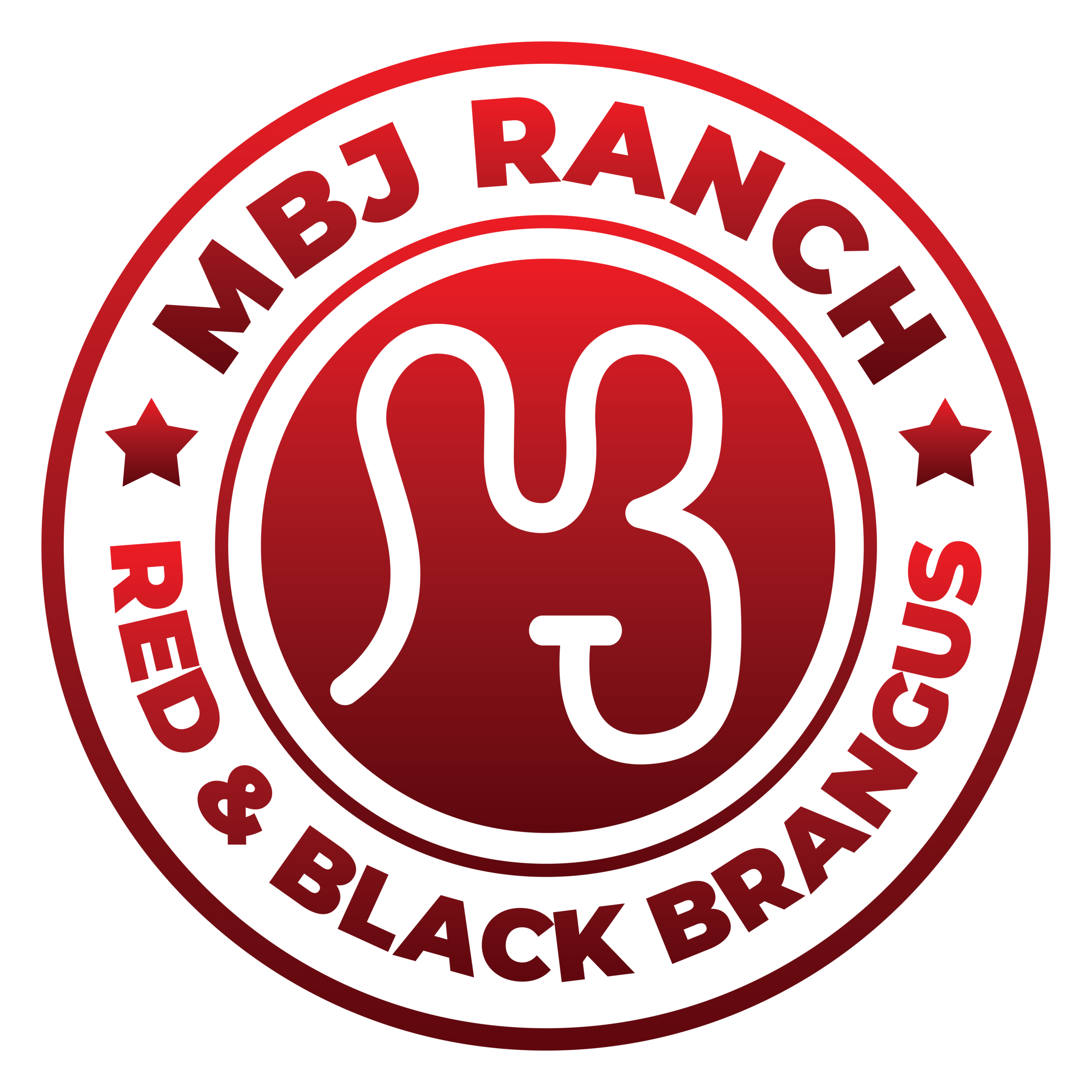 MBJ Group