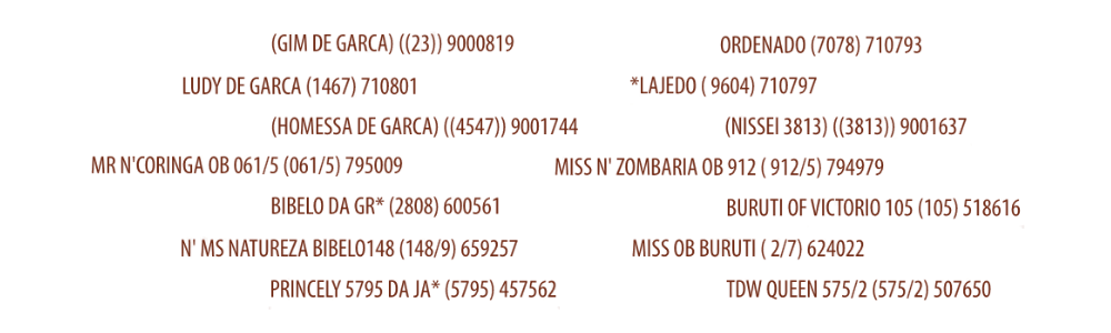Línea Genética del Toro